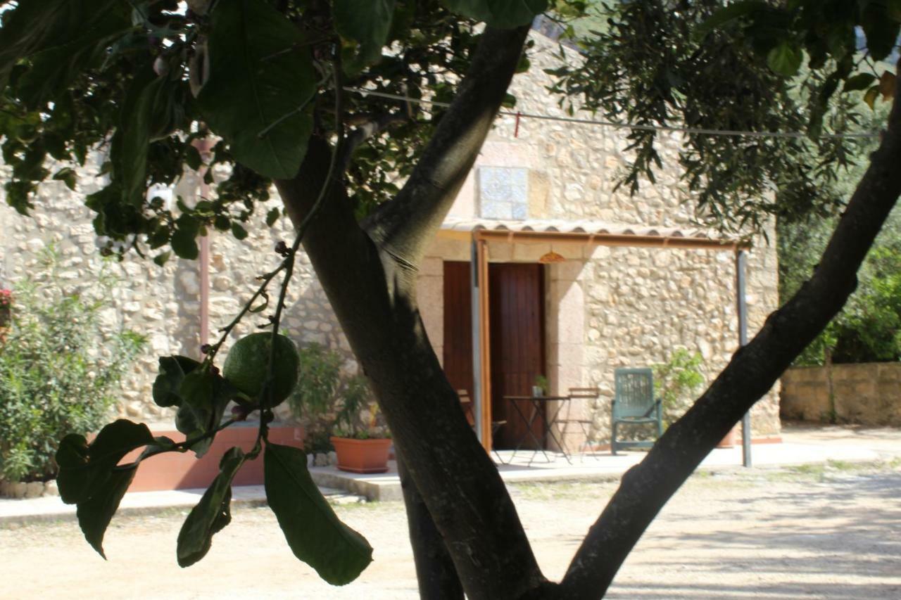 הוילה קאסטלמארה דל גולפו Rustici L'Antico Torchio מראה חיצוני תמונה